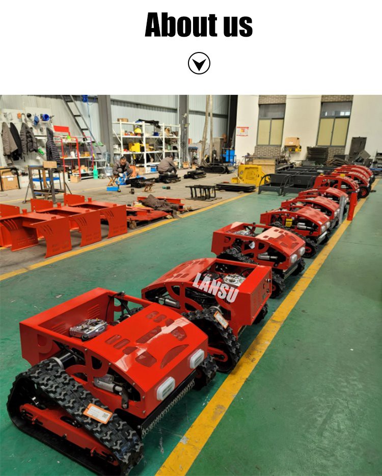 ls600-L4_07
